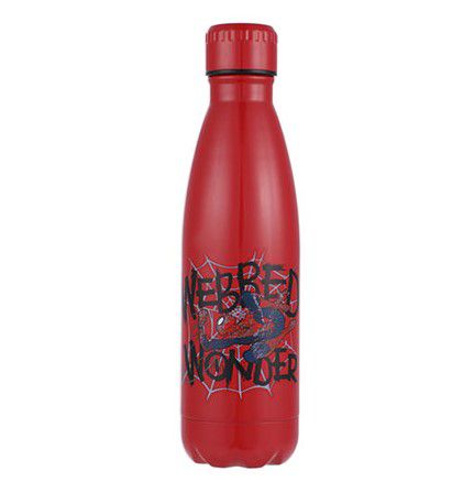 Kitkat brand Stainless Steel bottle 500ml